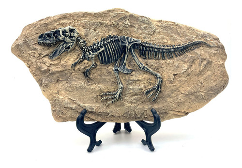 Estatua De Resina Dinosaurio Con Fósiles Decoración Hogar