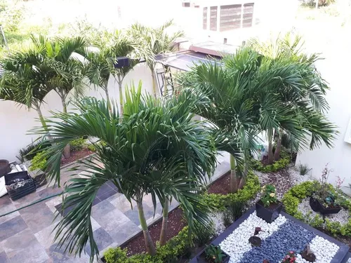 Venta Casa Con Alberca 4 Recamaras Col. Jardines De Tuxpan Veracruz