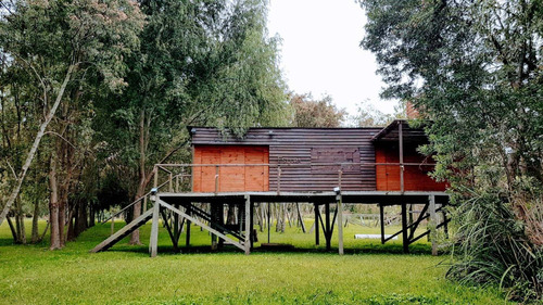 Imagen 18 de 30 de Lote Venta 2da Sección Delta Islas Sobre Paraná De L. Palma