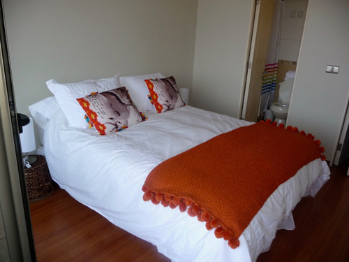 Departamento Amoblado En Arriendo Román Diaz, Providencia