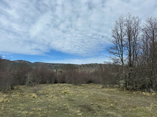 Terreno De Excelente Plusvalía - A 2,3 Km De Malalcahuello