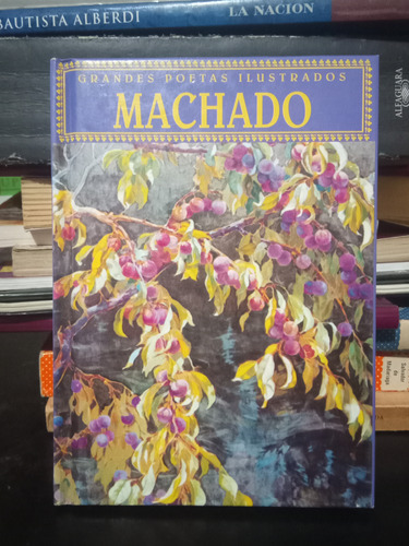 Machado Grandes Poetas Ilustrados ( Cartone ) B238