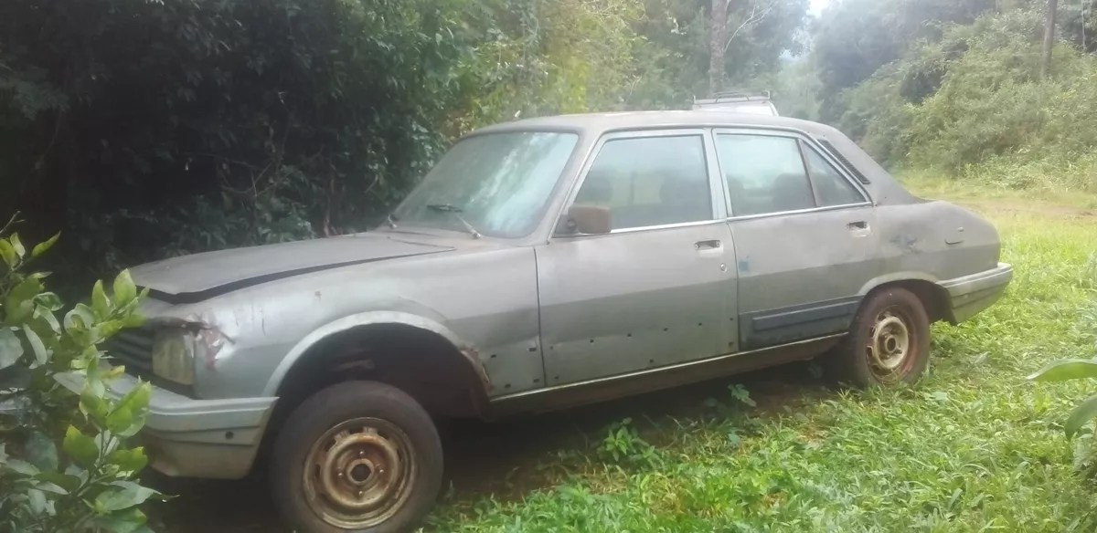 Peugeot 504 Otros