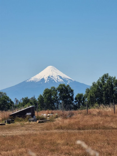 Parcelas En Frutillar, Bosques Y Praderas. Financiamiento