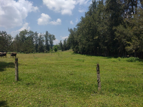 Terreno Campestre A La Venta En Frac. Manantial , Xalapa, Veracruz