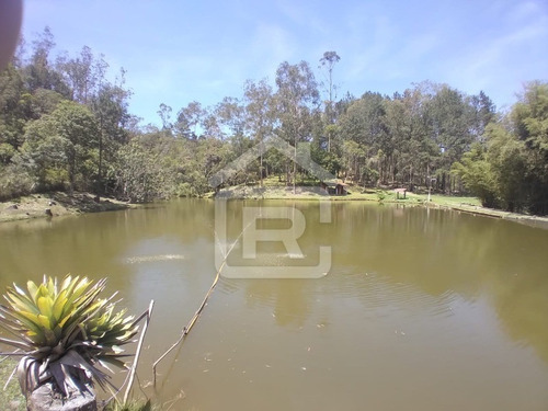 Imagem 18 de 30 de Lindo Sítio Em Juquitiba Com Imenso Lago, Piscina, Nascentes - 92 - 70323419