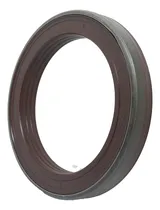 Comprar Retentor Do Cubo Roda Traseira Do Cargo 1117 1119 7236 Byf