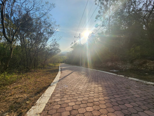 Venta Lote Gladiola 31 Muy Cerca De La Entrada Y En Nueva Zona De Fracc Rancho San Diego Ixtapan De La Sal Edomex Con Todos Los Servicios Y Proyecto Incluído