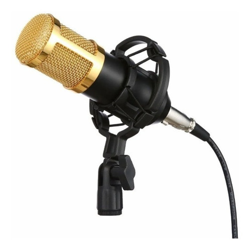Microfone Podcast Estúdio Profissional P/gravação Bm800 Cor Dourado Dourado