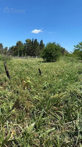 Imagen 2 de 3 de Lote En Venta 2000 M2 A 200 Mts. Acceso Oeste - Francisco Alvarez, Moreno