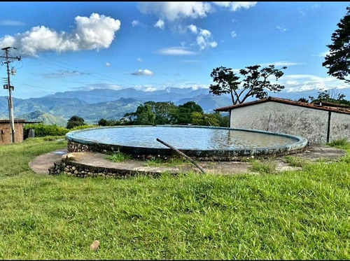 Imagen 25 de 28 de Vende Espectacular Finca La Esperanza En El Municipio San Cristobal, Estado Tachira. Lino Juvinao