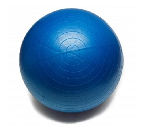 Pelota Anti Explosión Gym Fitness Pilates 65cm Con Inflador