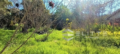 Imagen 12 de 28 de Sitio En Venta En Olmué