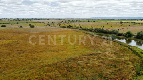 Rancho En Venta Comunidad Los Duron, Ags.