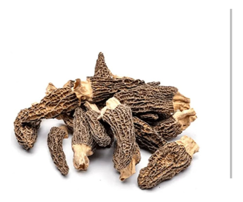 Morillas Hongos De Ciprés 100 Gramos