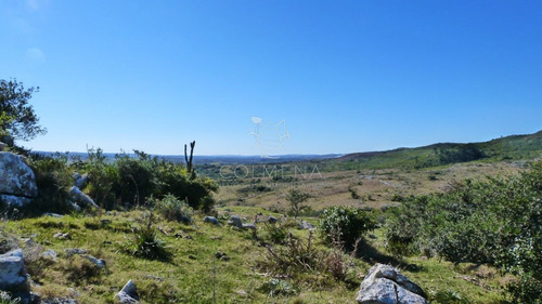 Imagen 13 de 17 de Campo Cerca Ruta 39 En Las Cañas - San Carlos