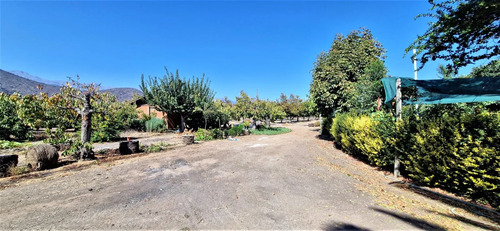 Venta De Parcela De 20.000 M2, Hermosa Y Productiva, En El M