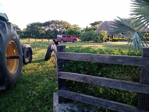 Imagen 1 de 14 de En Venta Finca Productiva En Dos Caminos Guárico