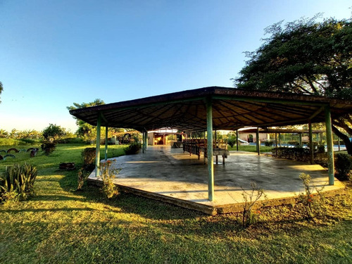 Imagen 6 de 9 de Se Vende Hato En San Agustin De La Pica Ve02-1225vlp-mche
