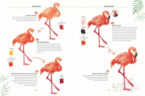 Pintar Acuarelas En 10 Pasos : Aves - Pintar 25 Aves
