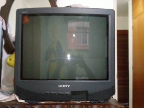 Tv. Sony Negro De 20''carcasa Frontal Fracturada, Reparar 