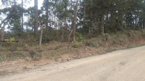 Imagem 14 de 15 de Chácara Para Venda Em Campina Grande Do Sul, Imbuial - 00292_2-1224372