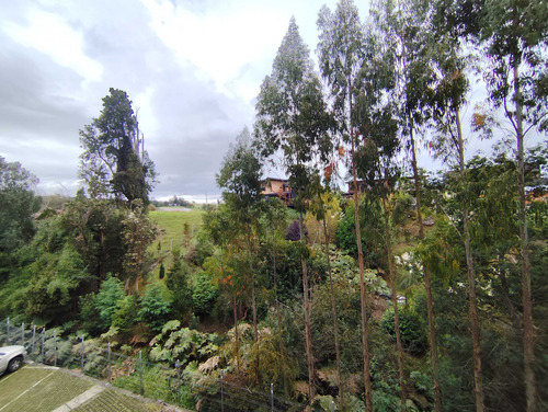 Arriendo En Edificio Elementos (92992)