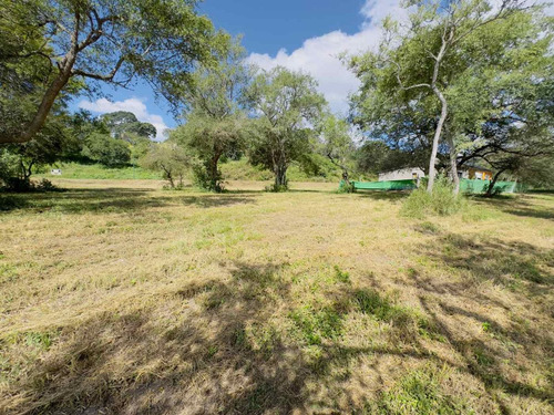Terreno En Venta Club De Campo Las Cañadas 1264 M2