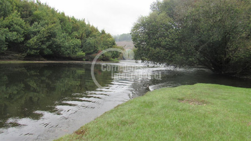 Parcela Con Rol Propio, Luz, Agua Potable Y Acceso Al Rio