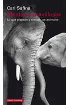 Comprar Mentes Maravillosas. Lo Que Piensan Y Sienten Los Animales