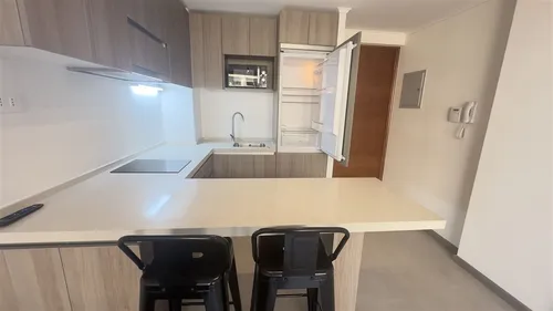 Departamento Amoblado En Arriendo 1 Dormitorio Laguna Centro