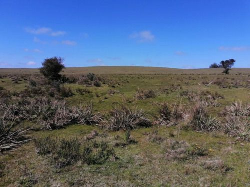 Venta De 30 Hectáreas De Campo En Garzón Maldonado (ref: Ksk-222)