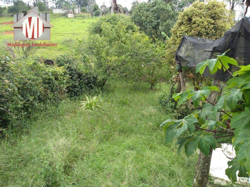 Imagem 24 de 30 de Excelente Chácara Com Escritura, Pomar, 04 Dormitórios E Linda Vista À Venda, 1000 M² Por R$ 280.000 - Rural - Socorro/sp - Ch0643