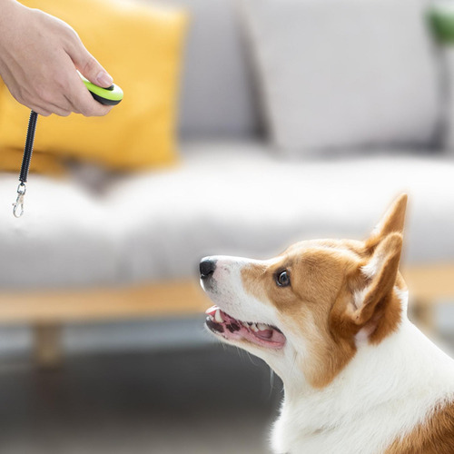Entrenamiento Con Clicker Para Perros Clicker De Entrenamien