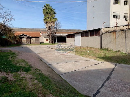 Venta Local Industrial / Galpón Monoambiente Jacinto Vera Br