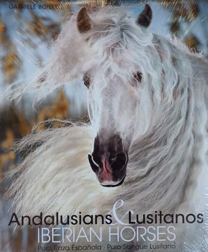 Caballos Andalusíes And Lusitanos. 