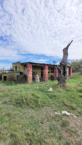 Venta Campo Sauce Totoral Canelones 9 Hectáreas Y Media Agricola Ganadero Ruta 86