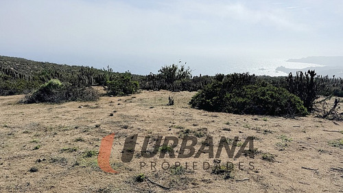 Sitios Exclusivos En Marina Del Arrayan