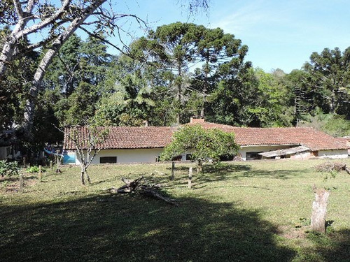Imagem 25 de 30 de Chácara Com 3 Dormitórios À Venda, 2305 M² Por R$ 630.000,00 - Juca Rocha (mailasqui) - São Roque/sp - Ch0007