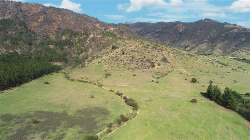 Parcela En Venta En Pumanque