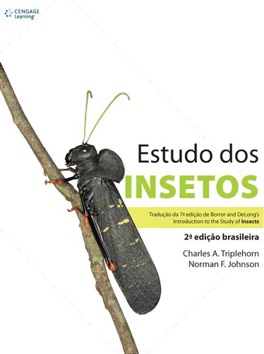 Estudos dos insetos, de Triplehorn, Charles. Editora Cengage Learning Edições Ltda., capa mole em português, 2015