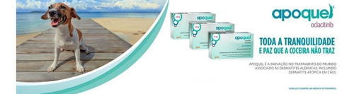 Imagem 3 de 3 de Apoquel Dermatológico Zoetis 20 Comprimidos 16 Mg