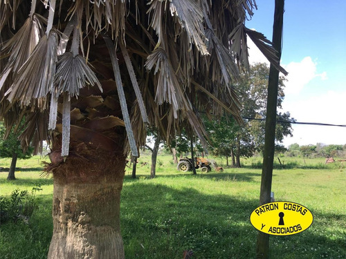 Imagen 19 de 21 de 2307hp- 1250 Hs. Campana-isla Endicada-instalaciones