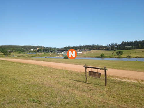 Imagen 20 de 21 de Oportunidad!!! Lote En Pueblo Mio De 5.000 M2-ref:217260