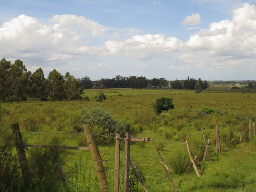 Chacra En Punta Ballena, Maldonado