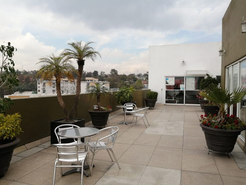 Imagen 11 de 17 de Venta Departamento Prolongacion San Antonio