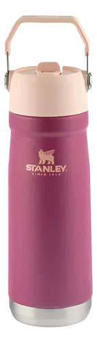 Garrafa térmica Stanley Flip Straw de plástico 651mL framboesa