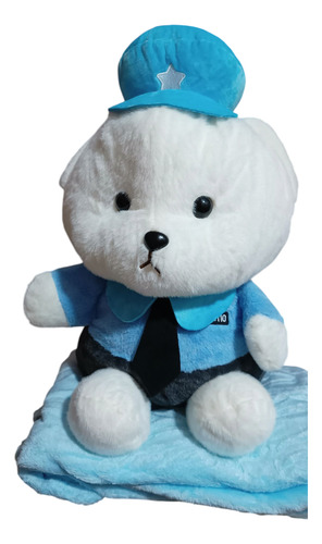 Osito De Peluche Con Manta...entrega Inmediata!!! Blanco