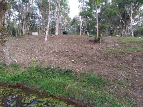 Belíssima Chácara De 5000m²