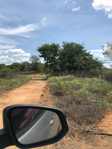 Fazenda Mil Hectares Em Jaiba